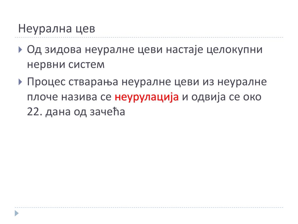 Неурална цев Од зидова неуралне цеви настаје целокупни нервни систем