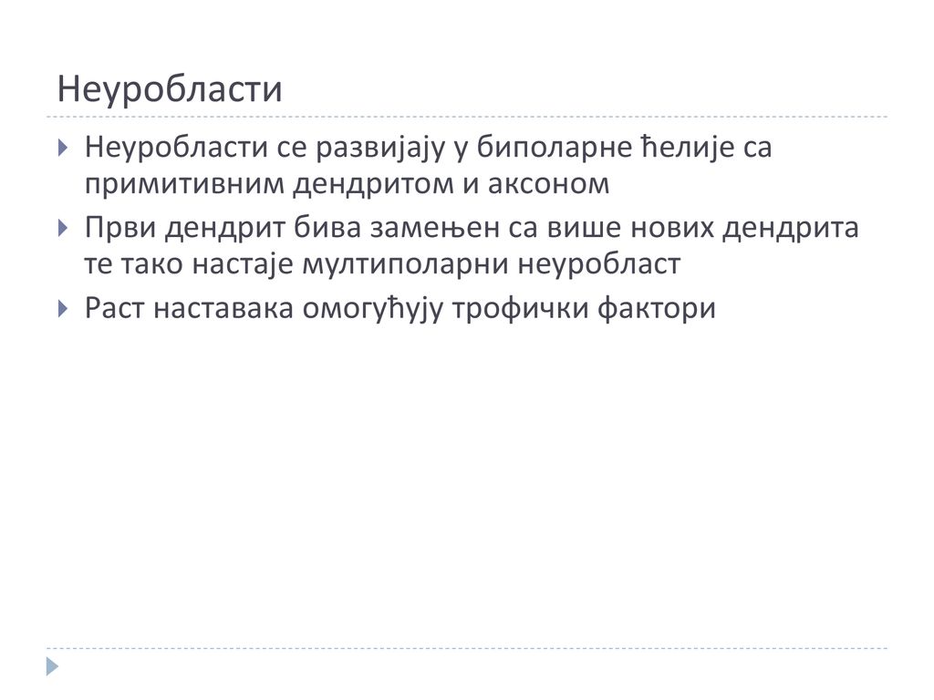 Неуробласти Неуробласти се развијају у биполарне ћелије са примитивним дендритом и аксоном.