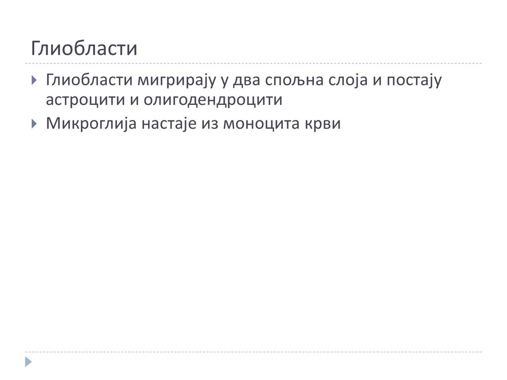 Глиобласти Глиобласти мигрирају у два спољна слоја и постају астроцити и олигодендроцити.