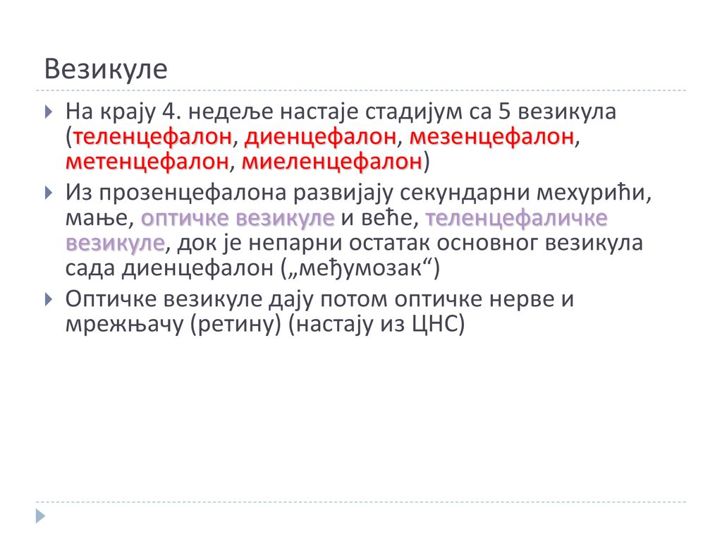 Везикуле На крају 4. недеље настаје стадијум са 5 везикула (теленцефалон, диенцефалон, мезенцефалон, метенцефалон, миеленцефалон)