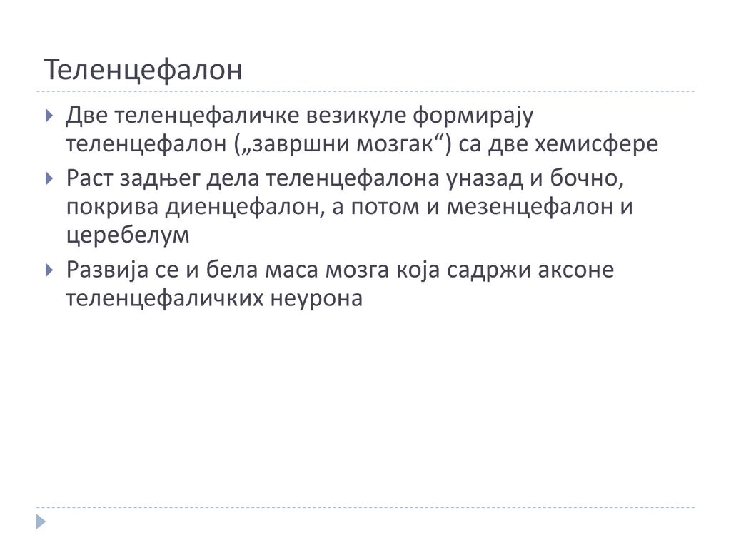 Теленцефалон Две теленцефаличке везикуле формирају теленцефалон („завршни мозгак ) са две хемисфере.