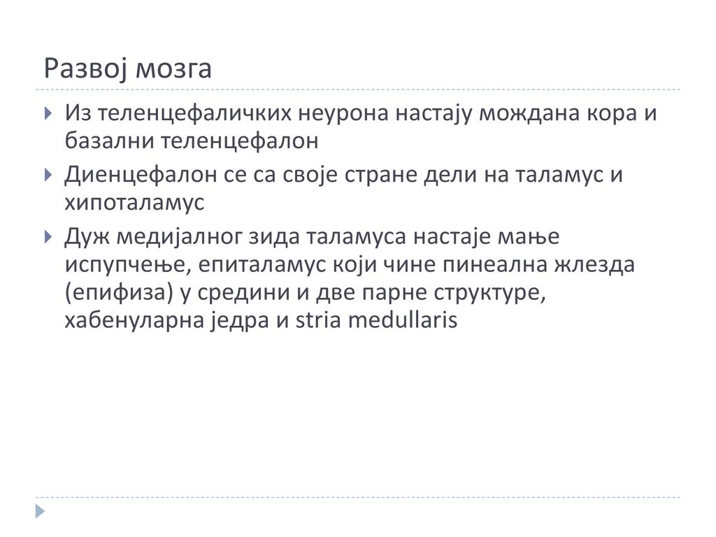 Развој мозга Из теленцефаличких неурона настају мождана кора и базални теленцефалон. Диенцефалон се са своје стране дели на таламус и хипоталамус.