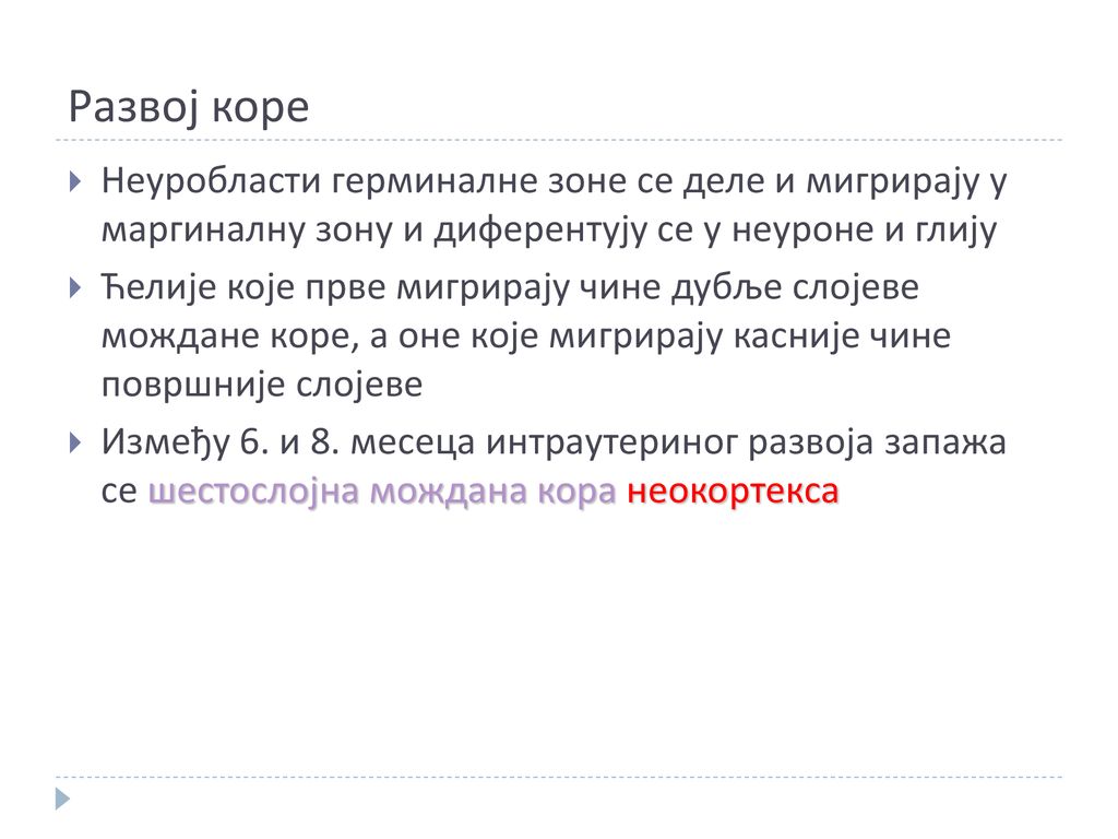 Развој коре Неуробласти герминалне зоне се деле и мигрирају у маргиналну зону и диферентују се у неуроне и глију.