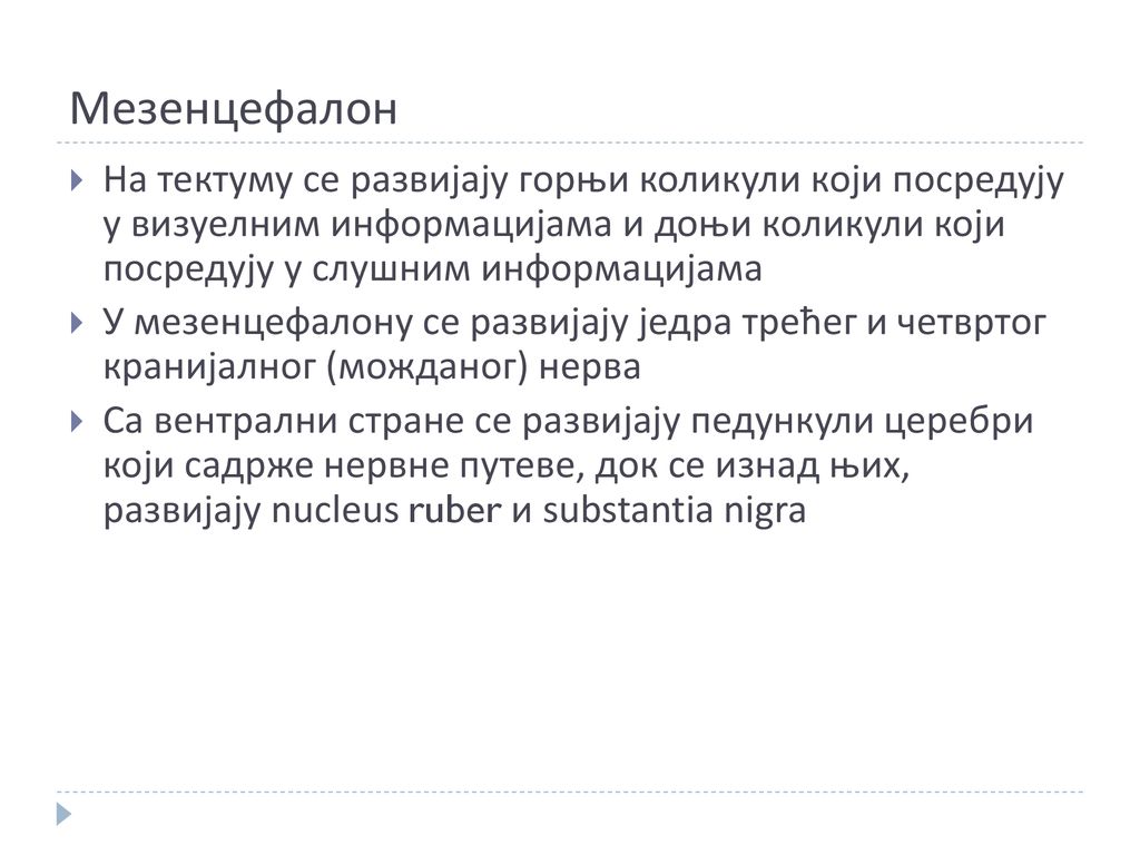 Мезенцефалон На тектуму се развијају горњи коликули који посредују у визуелним информацијама и доњи коликули који посредују у слушним информацијама.