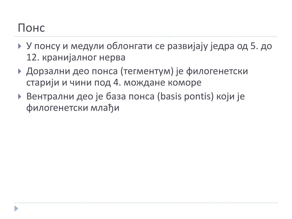 Понс У понсу и медули облонгати се развијају једра од 5. до 12. кранијалног нерва.