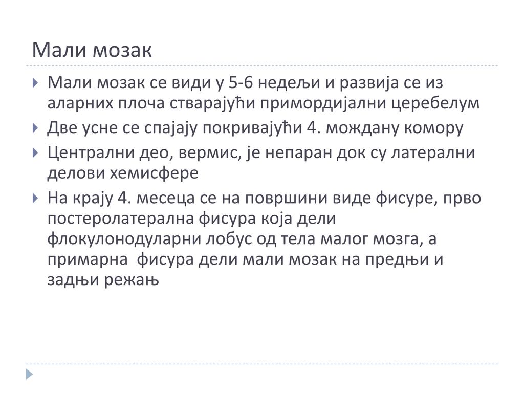 Мали мозак Мали мозак се види у 5-6 недељи и развија се из аларних плоча стварајући примордијални церебелум.