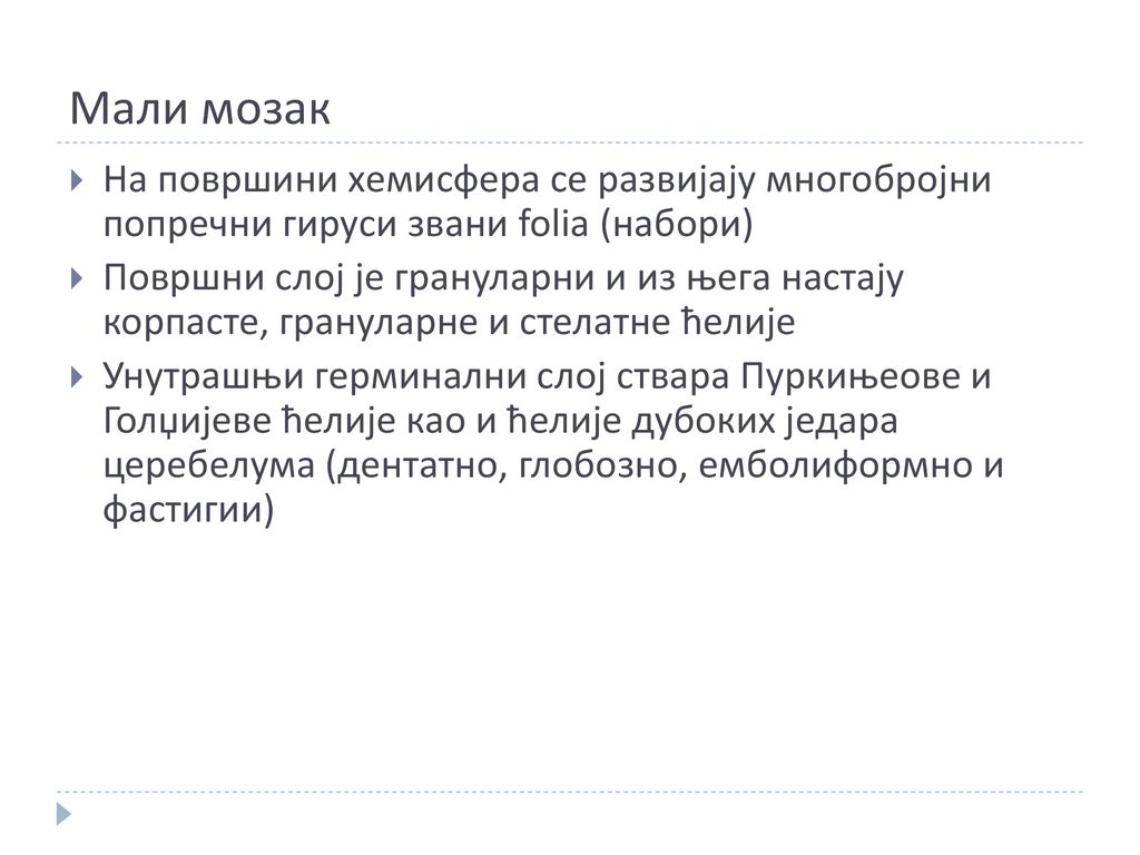 Мали мозак На површини хемисфера се развијају многобројни попречни гируси звани folia (набори)