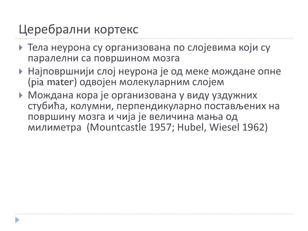 Церебрални кортекс Тела неурона су организована по слојевима који су паралелни са површином мозга.