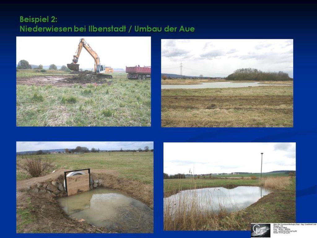 RENATURIERUNG DER NIDDA ppt herunterladen