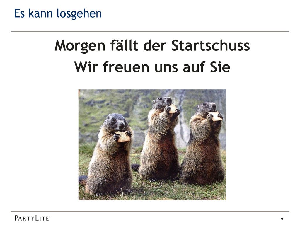 Morgen fällt der Startschuss Wir freuen uns auf Sie