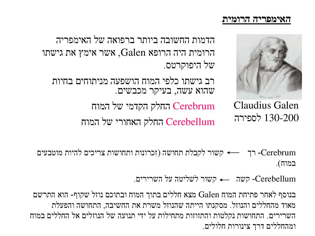 רב גישתו כלפי המוח הושפעה מניתוחים בחיות שהוא עשה, בעיקר מכבשים.