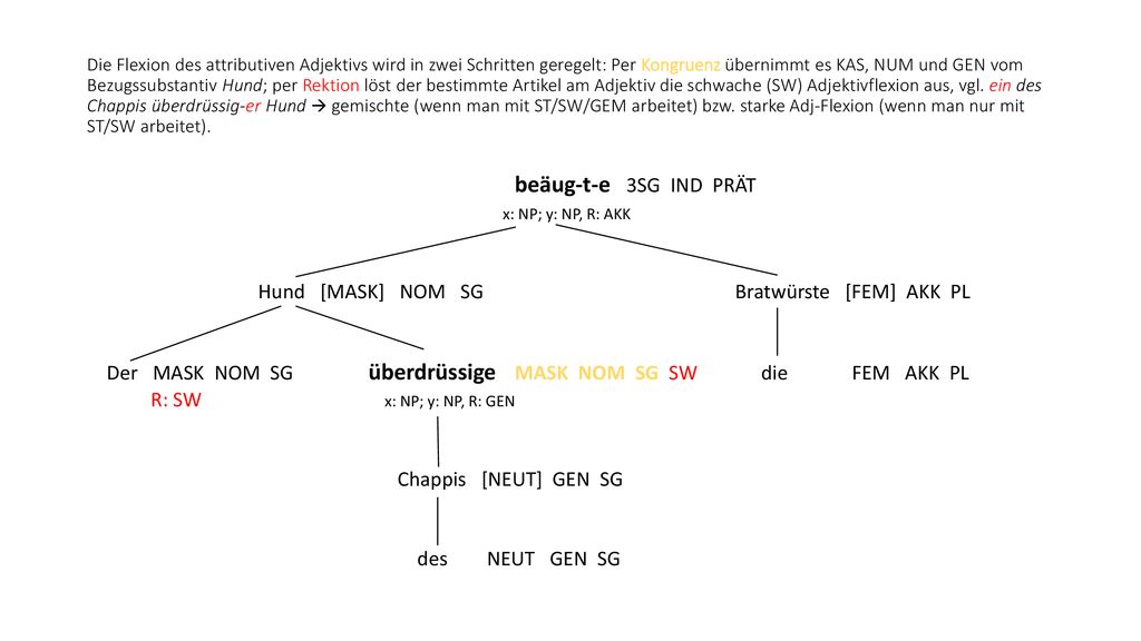 Die Flexion des attributiven Adjektivs wird in zwei Schritten geregelt: Per Kongruenz übernimmt es KAS, NUM und GEN vom Bezugssubstantiv Hund; per Rektion löst der bestimmte Artikel am Adjektiv die schwache (SW) Adjektivflexion aus, vgl. ein des Chappis überdrüssig-er Hund  gemischte (wenn man mit ST/SW/GEM arbeitet) bzw. starke Adj-Flexion (wenn man nur mit ST/SW arbeitet).
