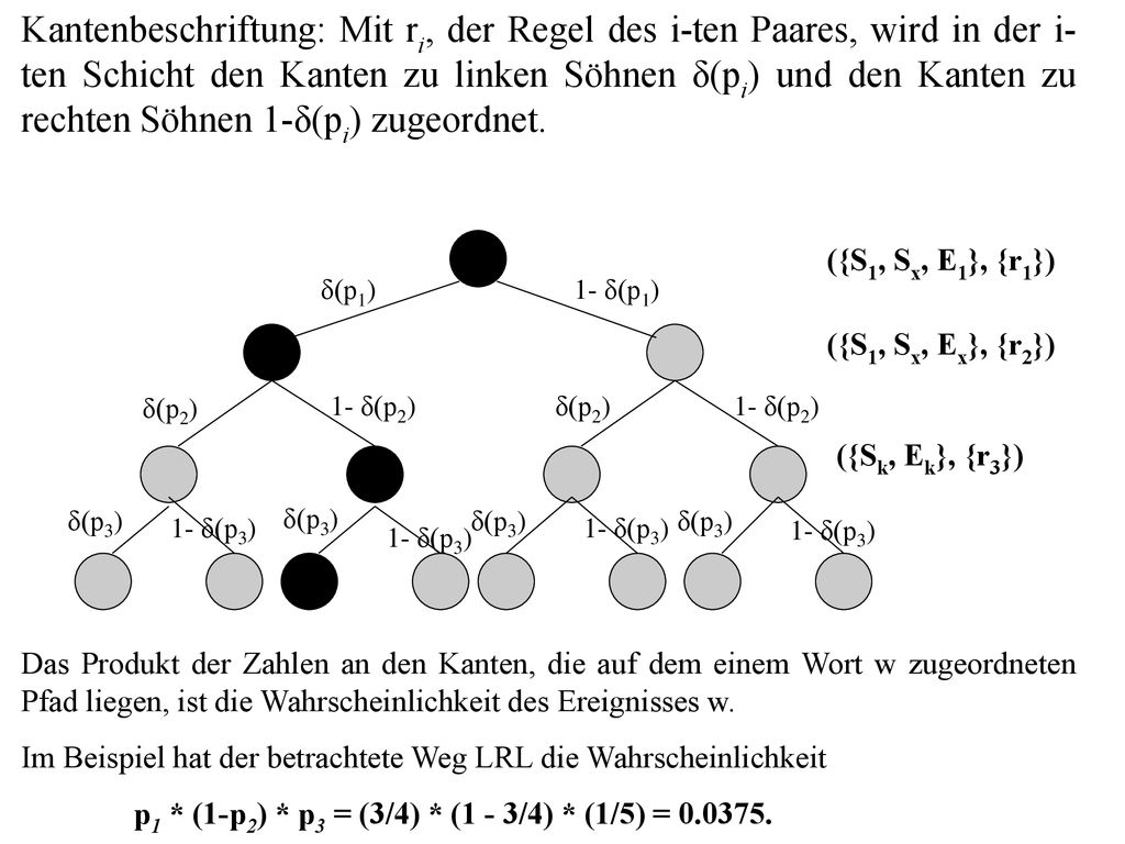 Kantenbeschriftung: Mit ri, der Regel des i-ten Paares, wird in der i-ten Schicht den Kanten zu linken Söhnen δ(pi) und den Kanten zu rechten Söhnen 1-δ(pi) zugeordnet.