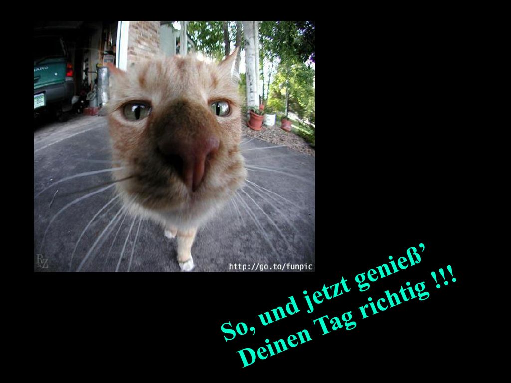 So, und jetzt genieß’ Deinen Tag richtig !!! S.R.