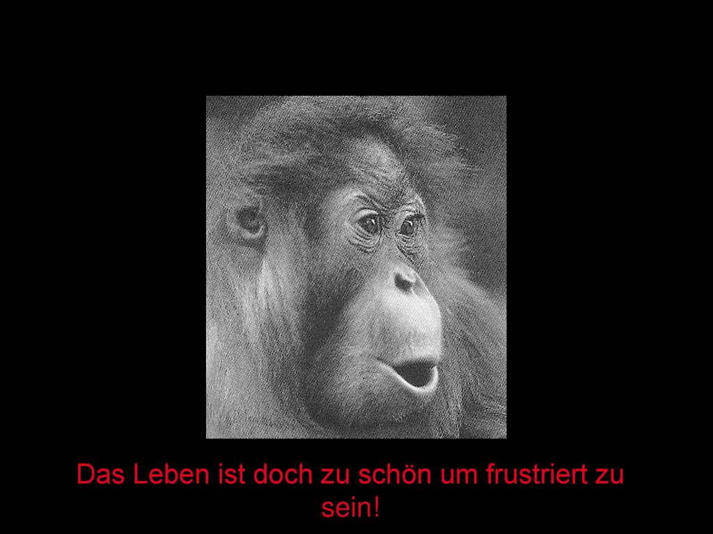 Das Leben ist doch zu schön um frustriert zu sein!