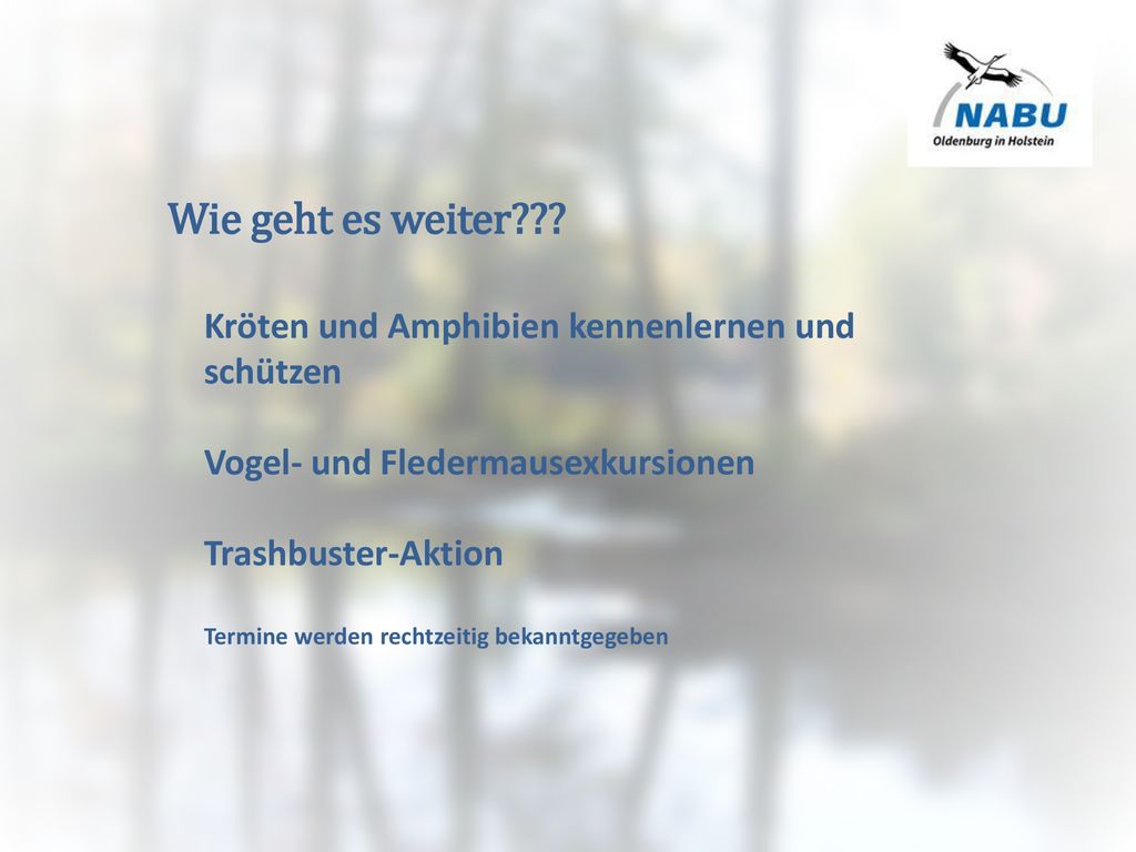 Wie geht es weiter Kröten und Amphibien kennenlernen und schützen