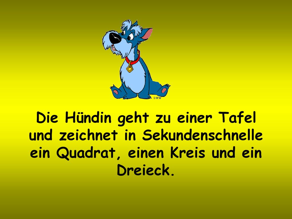 Die Hündin geht zu einer Tafel und zeichnet in Sekundenschnelle ein Quadrat, einen Kreis und ein Dreieck.
