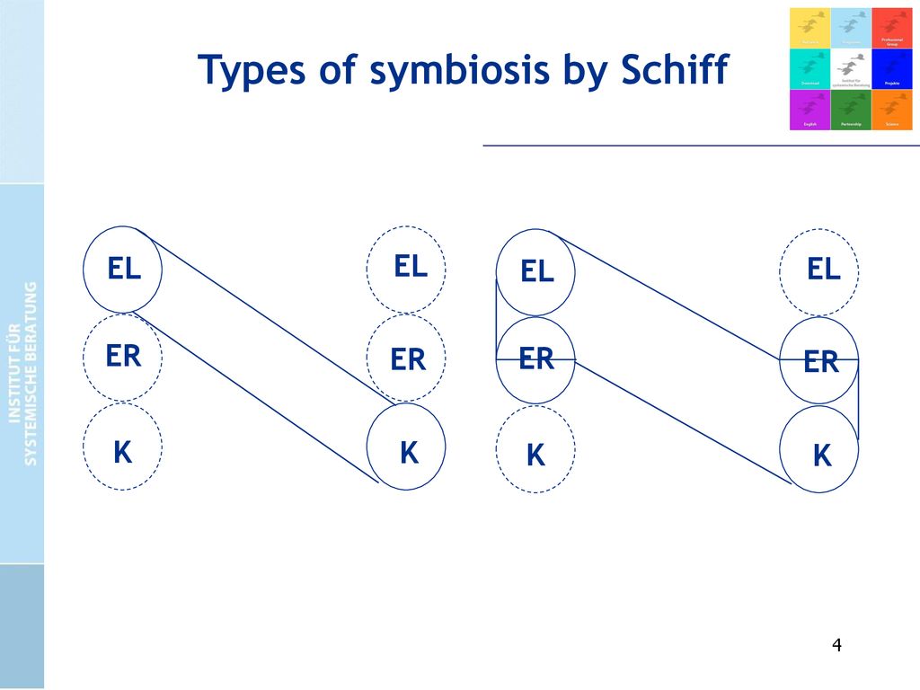 Types of symbiosis by Schiff
