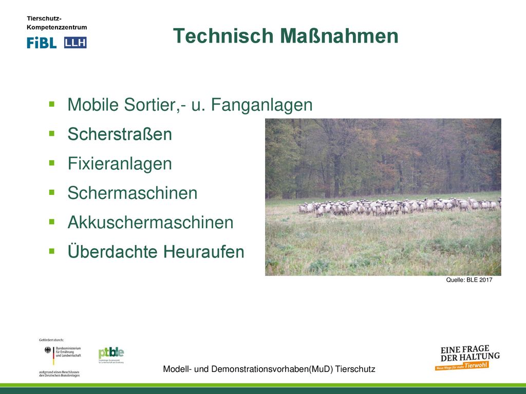 Technisch Maßnahmen Mobile Sortier,- u. Fanganlagen Scherstraßen