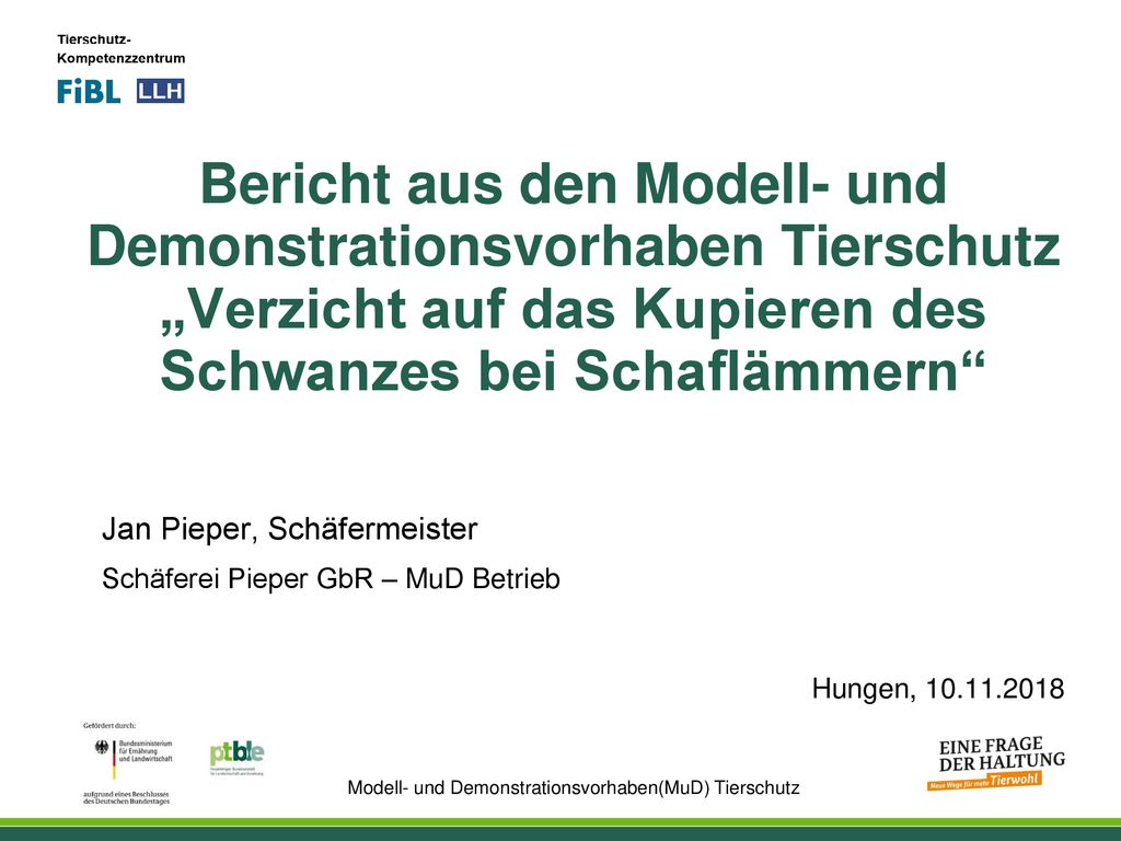 Bericht aus den Modell- und Demonstrationsvorhaben Tierschutz „Verzicht auf das Kupieren des Schwanzes bei Schaflämmern
