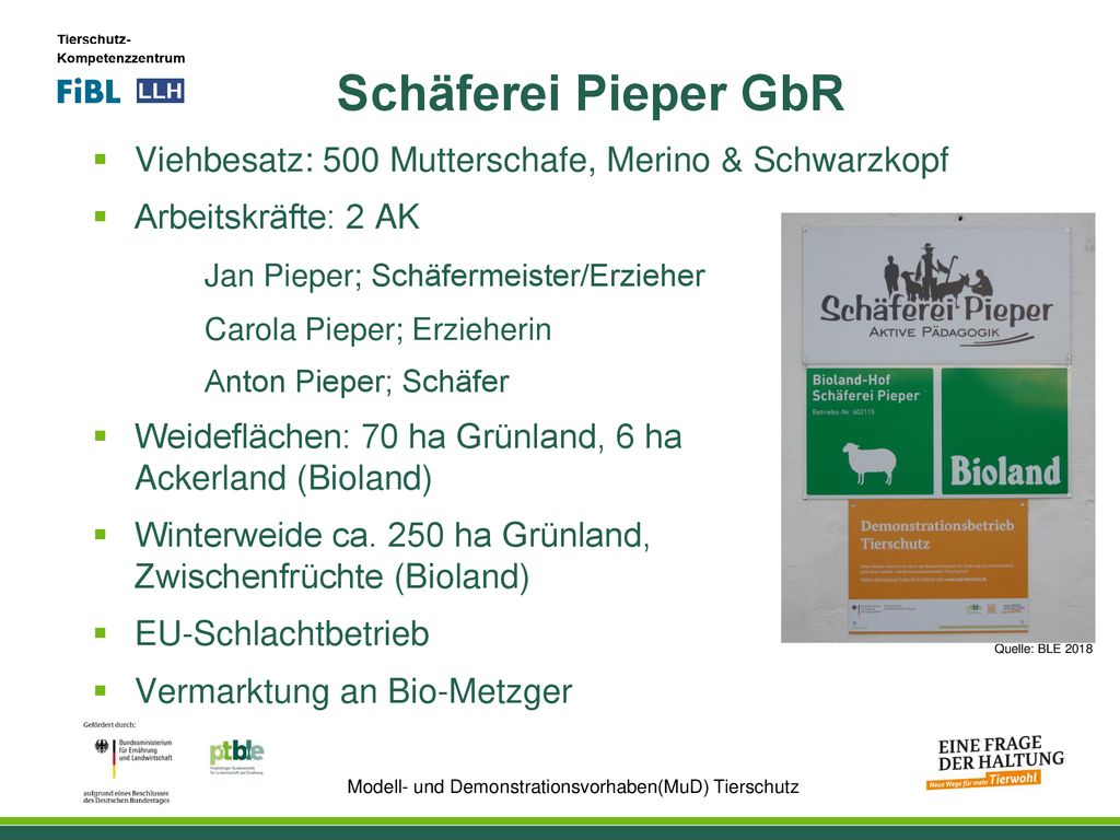 Schäferei Pieper GbR Viehbesatz: 500 Mutterschafe, Merino & Schwarzkopf. Arbeitskräfte: 2 AK. Jan Pieper; Schäfermeister/Erzieher.