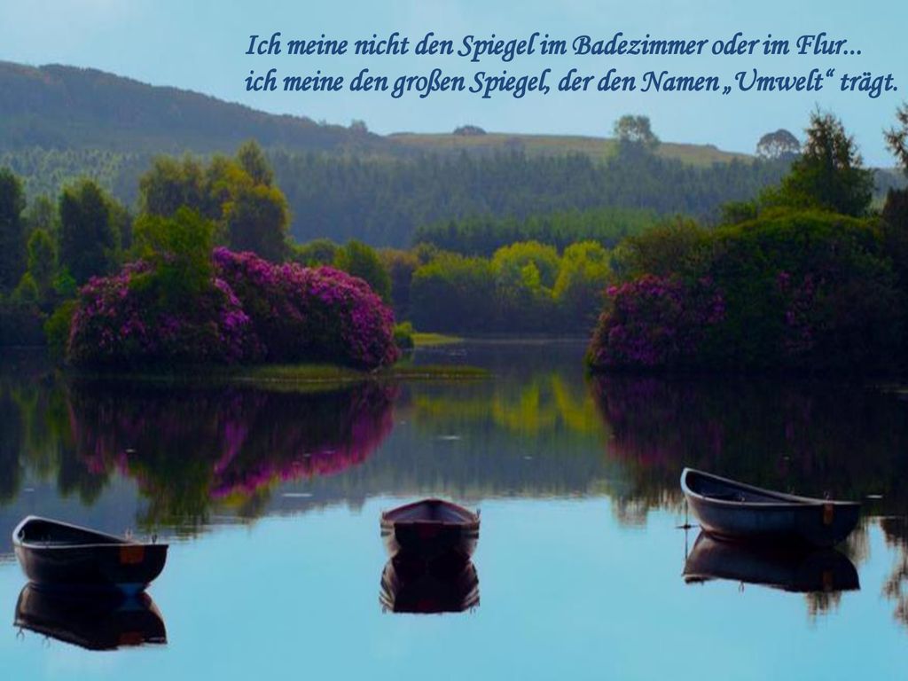 Ich meine nicht den Spiegel im Badezimmer oder im Flur...