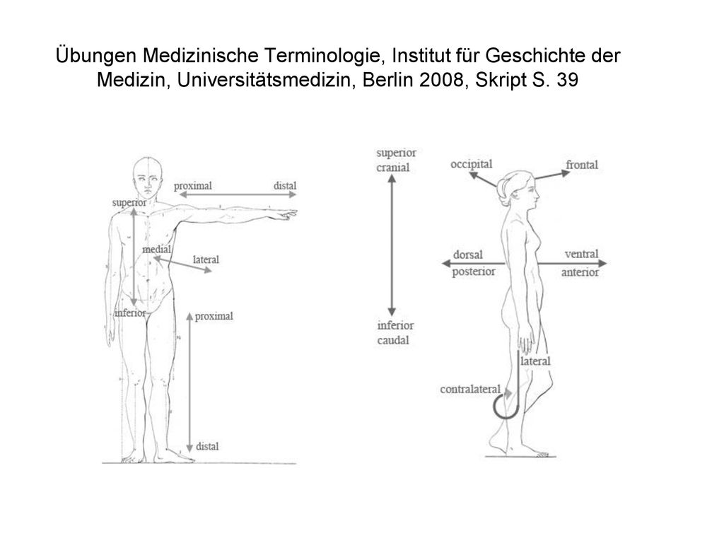 Übungen Medizinische Terminologie, Institut für Geschichte der Medizin, Universitätsmedizin, Berlin 2008, Skript S.