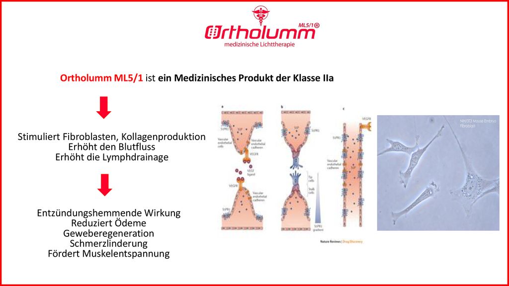 Ortholumm ML5/1 ist ein Medizinisches Produkt der Klasse IIa