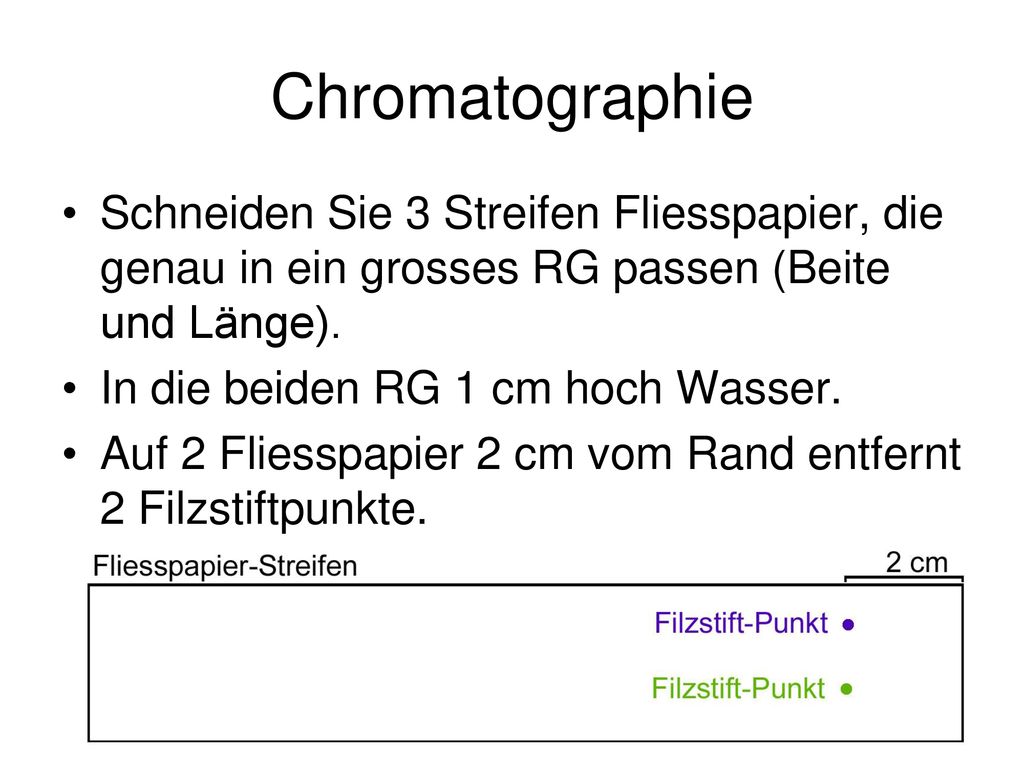Chromatographie Schneiden Sie 3 Streifen Fliesspapier, die genau in ein grosses RG passen (Beite und Länge).