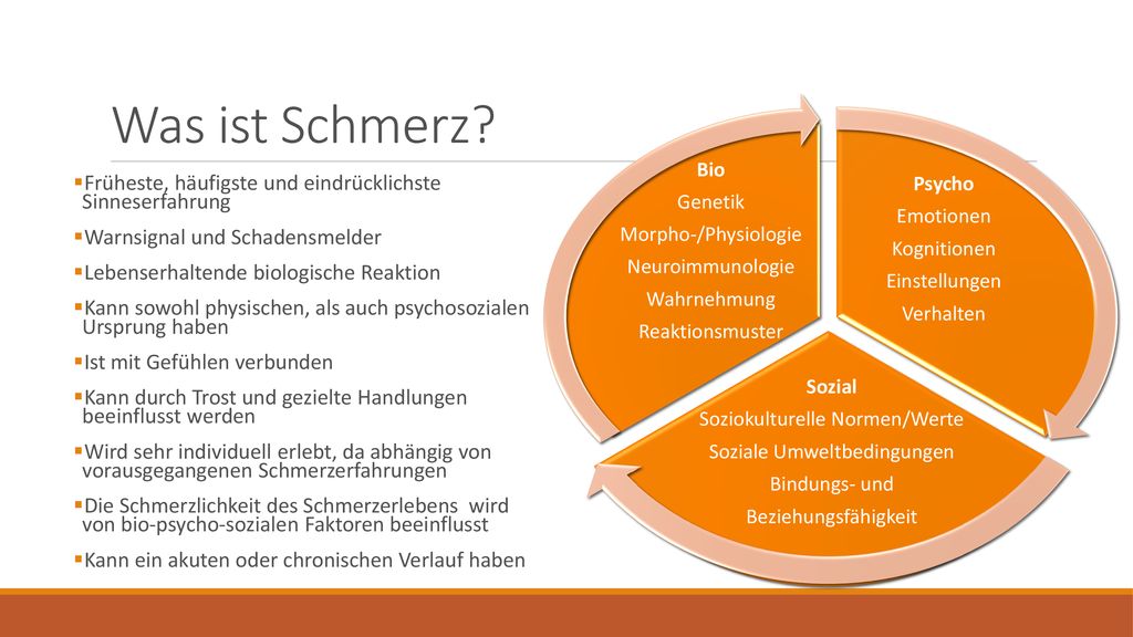 Was ist Schmerz Psycho. Emotionen. Kognitionen. Einstellungen. Verhalten. Sozial. Soziokulturelle Normen/Werte.