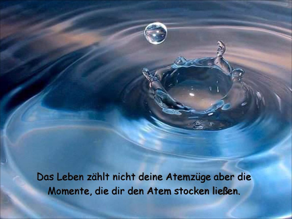 Das Leben. ppt herunterladen