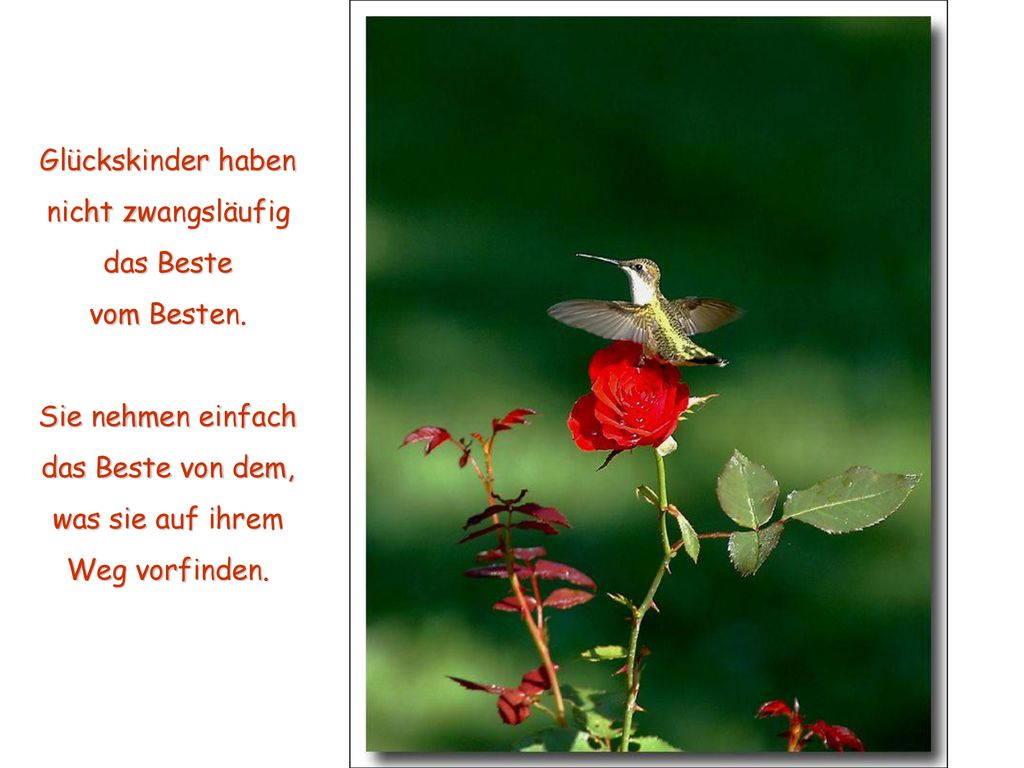 Glückskinder haben nicht zwangsläufig. das Beste. vom Besten. Sie nehmen einfach. das Beste von dem,