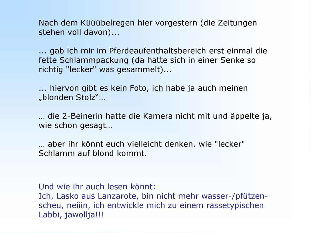 Nach dem Küüübelregen hier vorgestern (die Zeitungen stehen voll davon)...