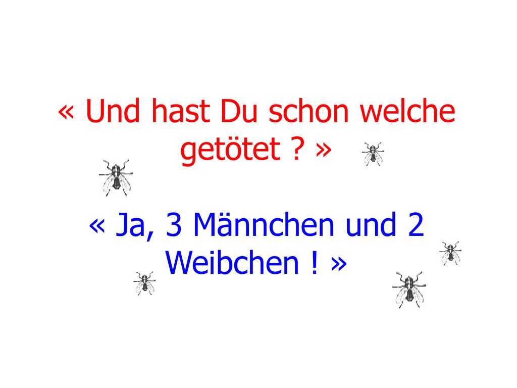« Und hast Du schon welche getötet. » « Ja, 3 Männchen und 2 Weibchen