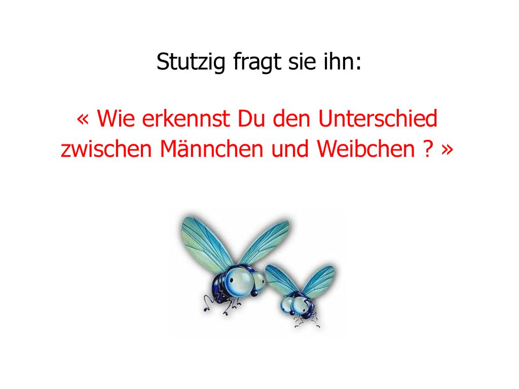 « Wie erkennst Du den Unterschied zwischen Männchen und Weibchen »