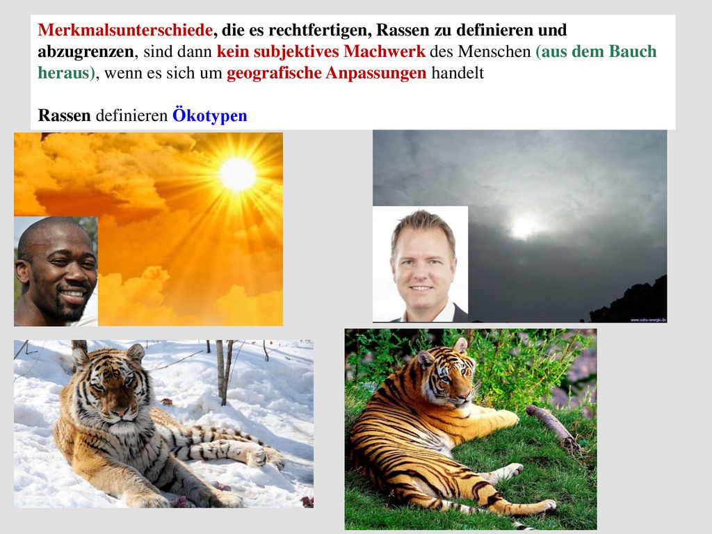 Merkmalsunterschiede, die es rechtfertigen, Rassen zu definieren und abzugrenzen, sind dann kein subjektives Machwerk des Menschen (aus dem Bauch heraus), wenn es sich um geografische Anpassungen handelt