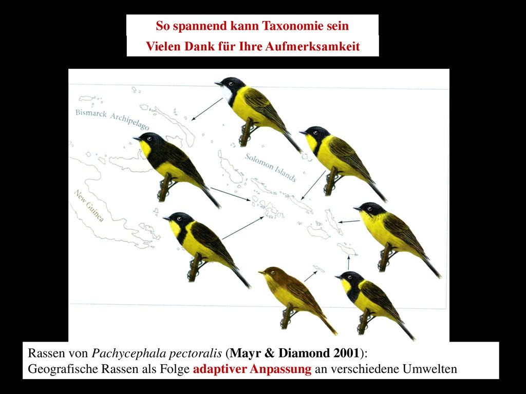 So spannend kann Taxonomie sein Vielen Dank für Ihre Aufmerksamkeit