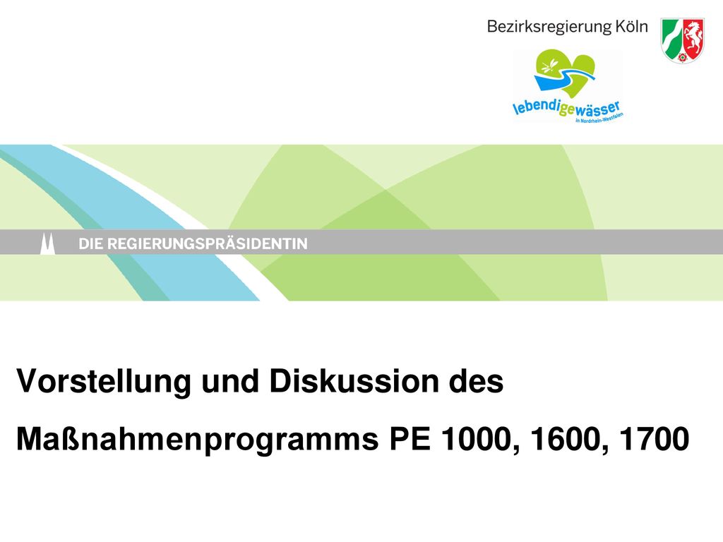 Vorstellung und Diskussion des Maßnahmenprogramms PE 1000, 1600, 1700
