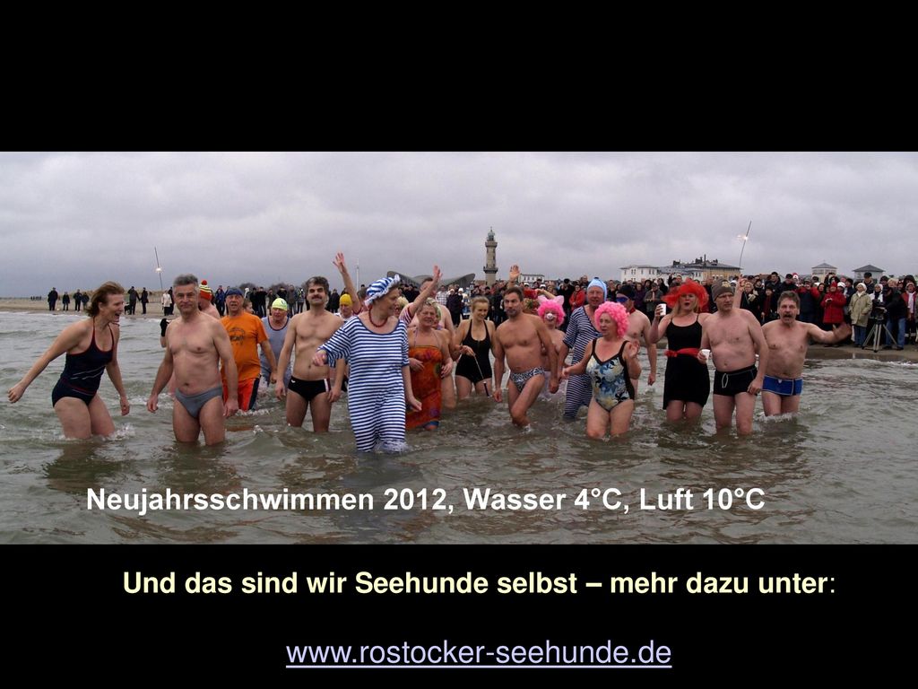Und das sind wir Seehunde selbst – mehr dazu unter: