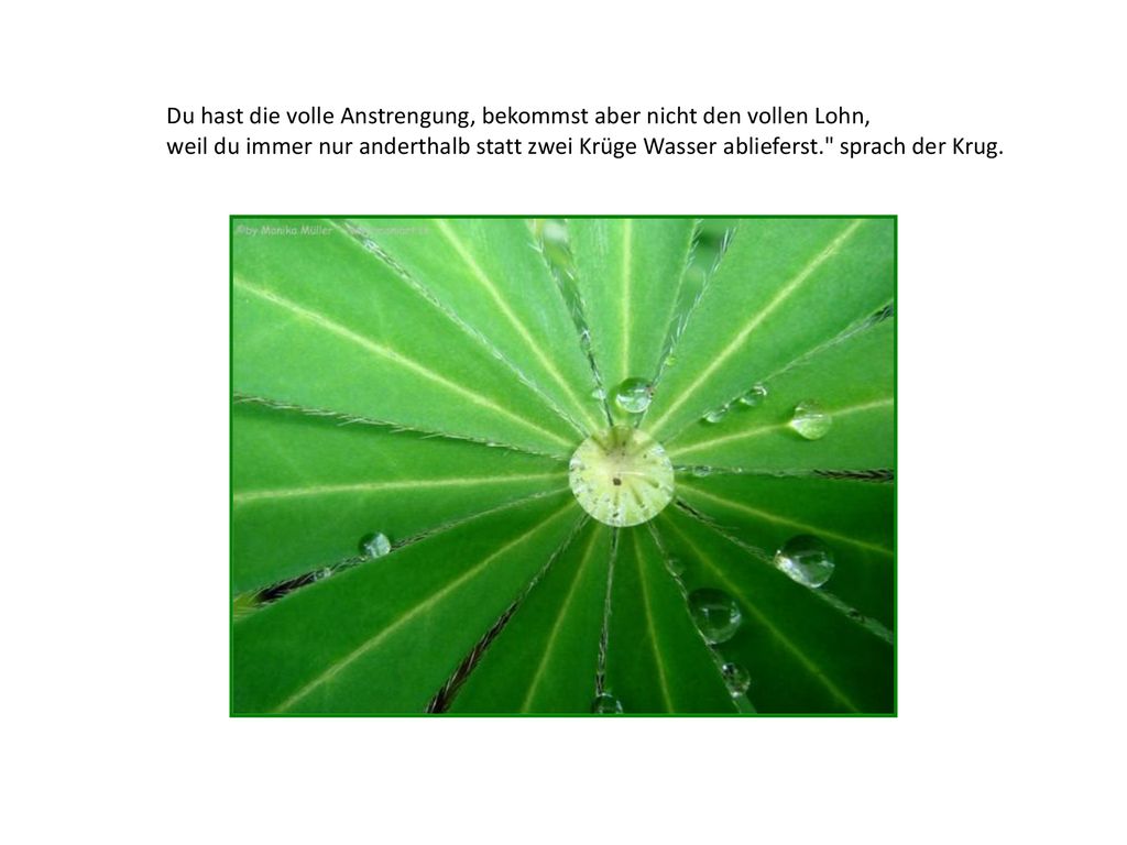 Du hast die volle Anstrengung, bekommst aber nicht den vollen Lohn,