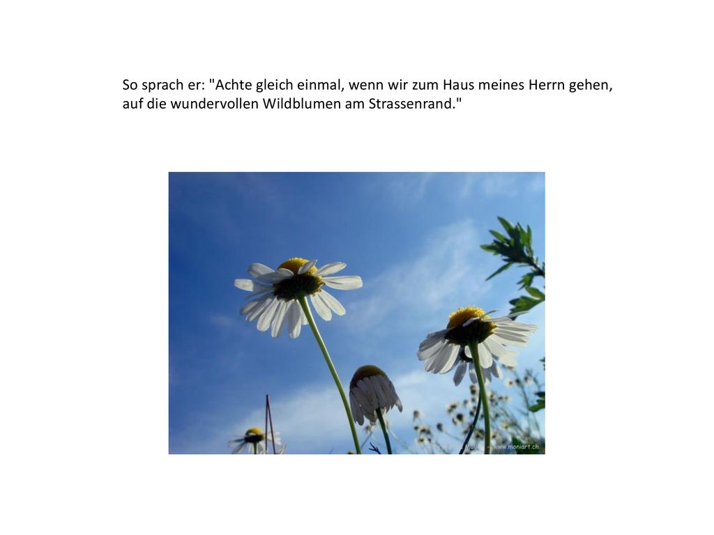 So sprach er: Achte gleich einmal, wenn wir zum Haus meines Herrn gehen,
