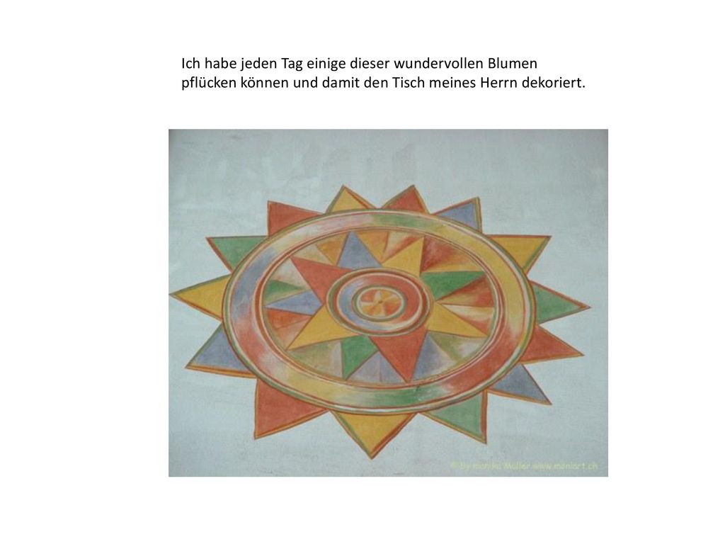 Ich habe jeden Tag einige dieser wundervollen Blumen