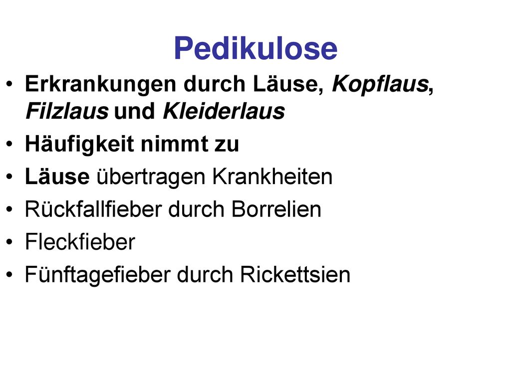Pedikulose Erkrankungen durch Läuse, Kopflaus, Filzlaus und Kleiderlaus. Häufigkeit nimmt zu. Läuse übertragen Krankheiten.
