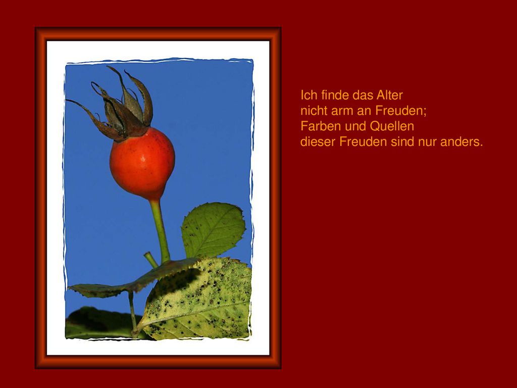 Ich finde das Alter nicht arm an Freuden; Farben und Quellen dieser Freuden sind nur anders.