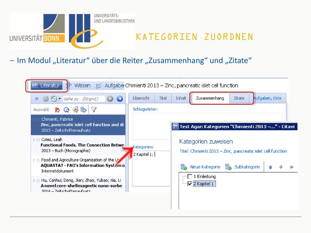 Kategorien zuordnen Im Modul „Literatur über die Reiter „Zusammenhang und „Zitate