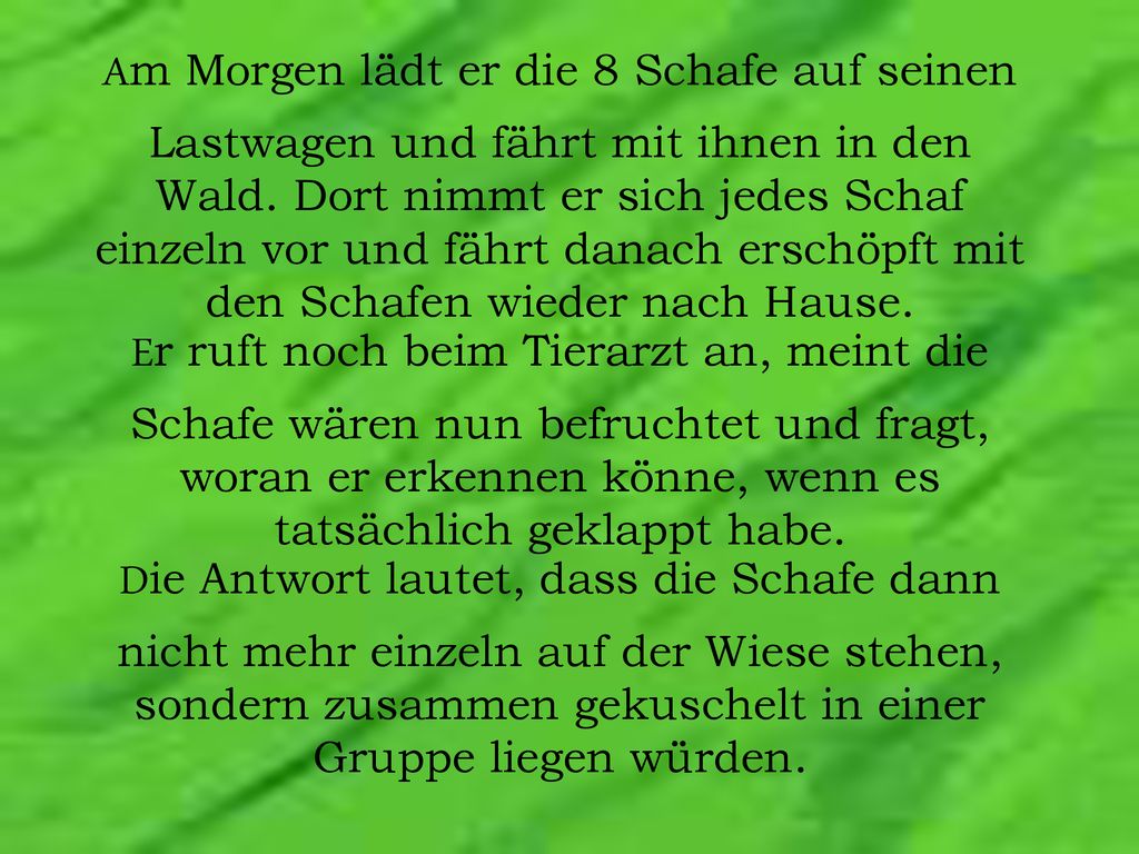 Am Morgen lädt er die 8 Schafe auf seinen Lastwagen und fährt mit ihnen in den Wald.