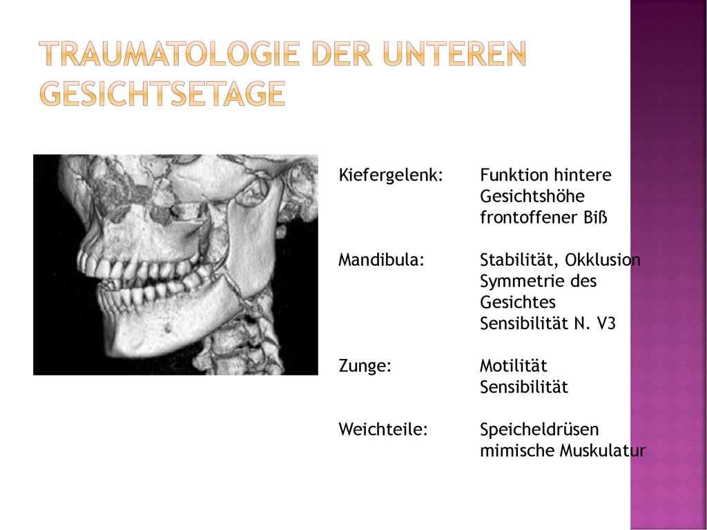 Traumatologie der unteren Gesichtsetage