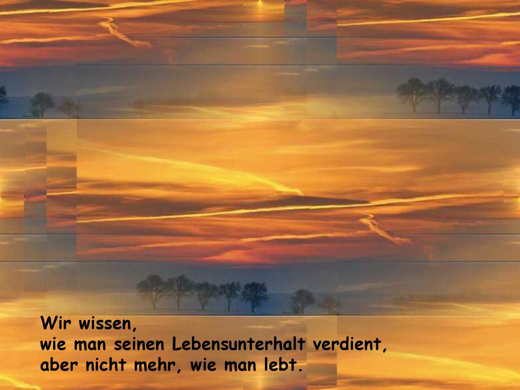 Wir wissen, wie man seinen Lebensunterhalt verdient, aber nicht mehr, wie man lebt.