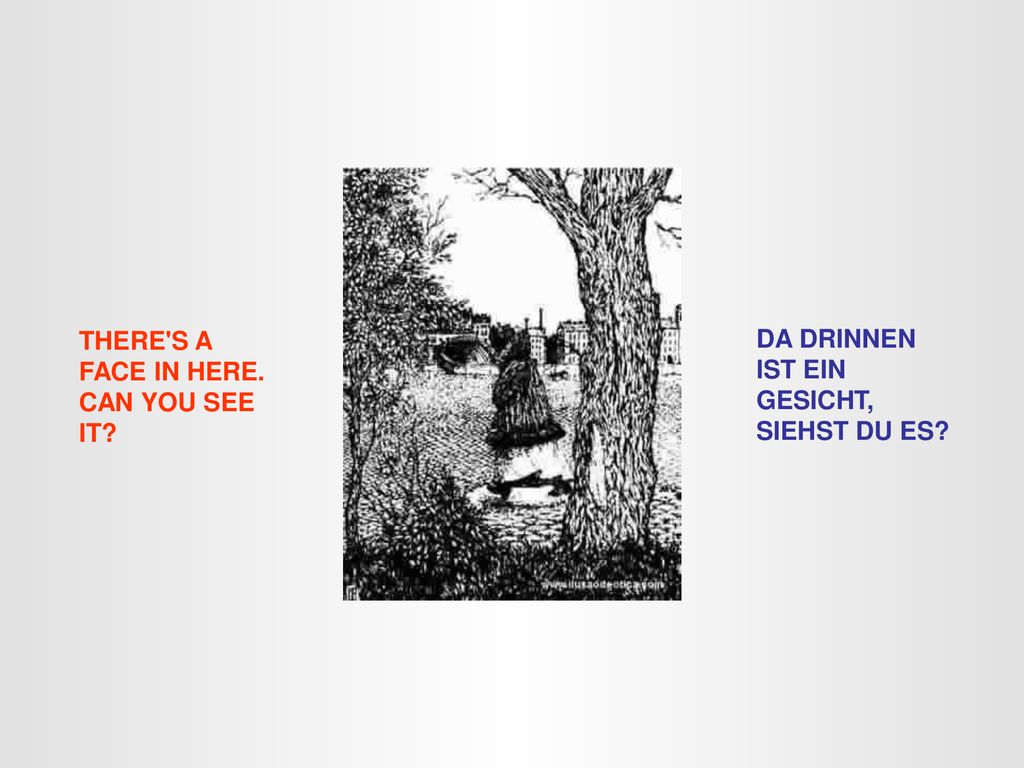 THERE S A FACE IN HERE. CAN YOU SEE IT