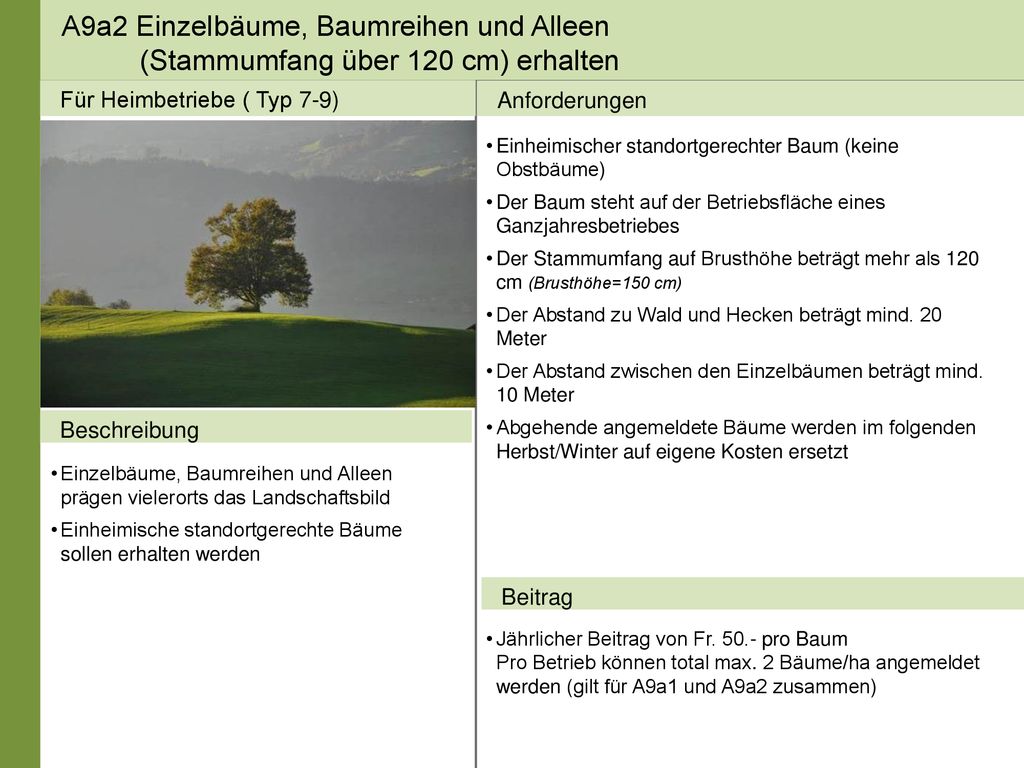 A9a2 Einzelbäume, Baumreihen und Alleen (Stammumfang über 120 cm) erhalten